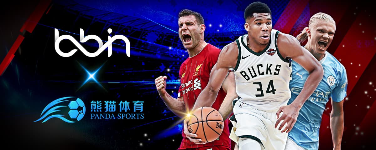 亮点无疑是 亮点无疑是